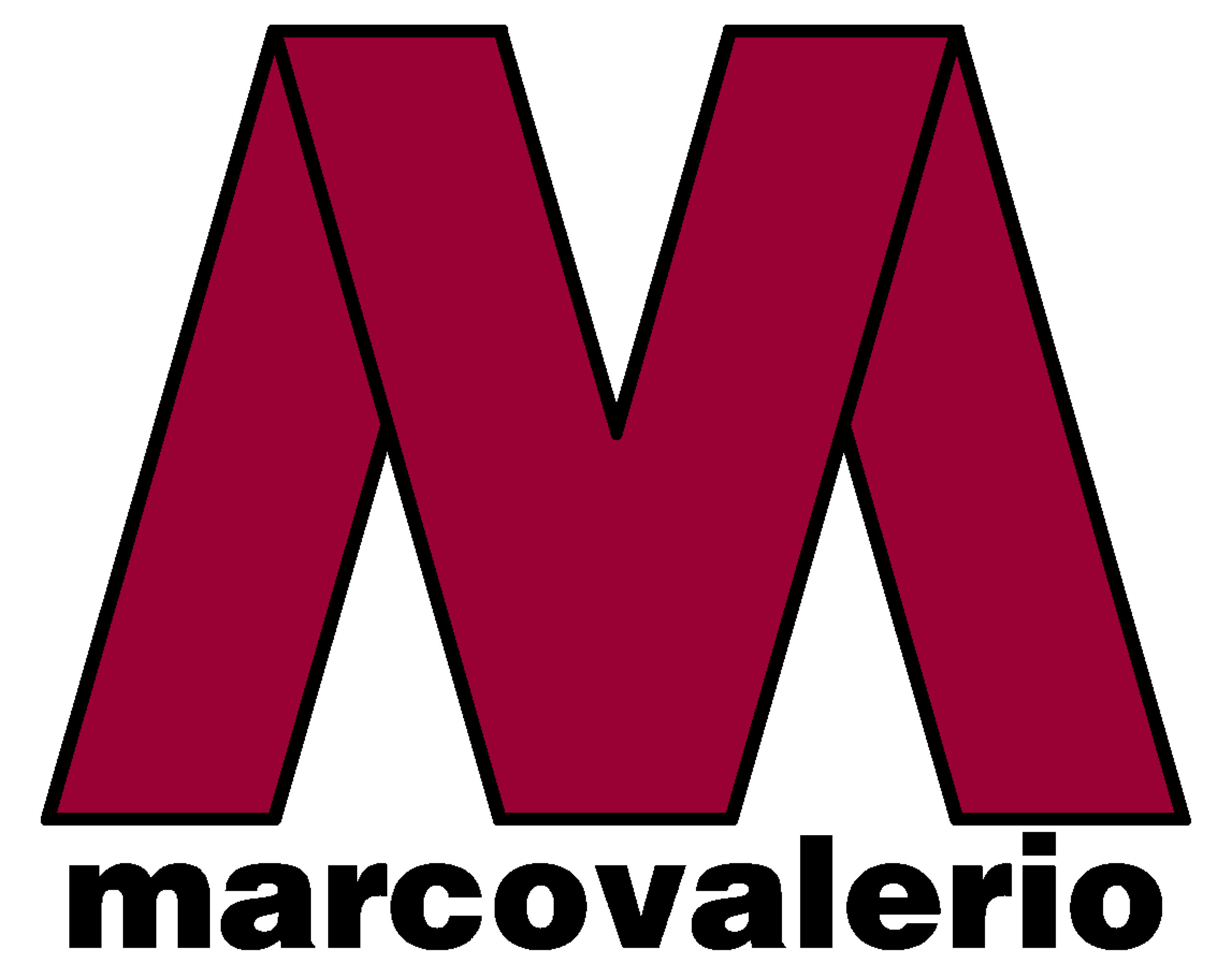 MV LOGO COLORI 2013
