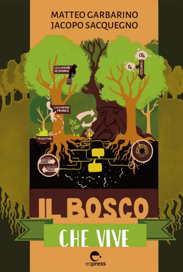 il bosco che vive