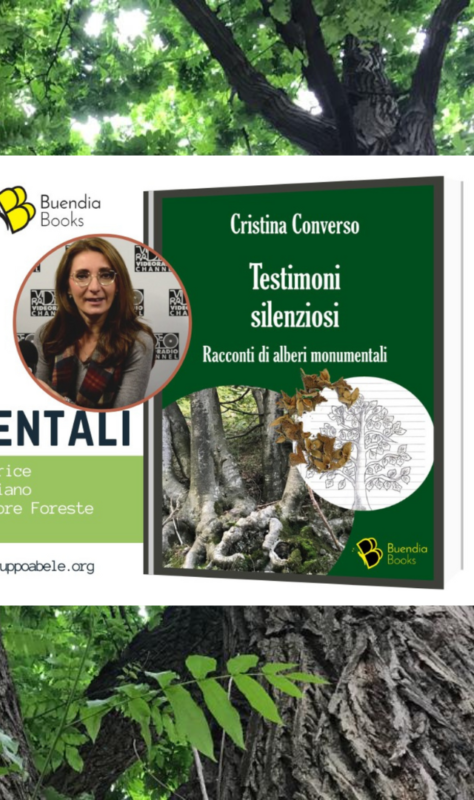 Testimoni silenziosi da Binaria Rivalta